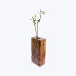Delray Plants